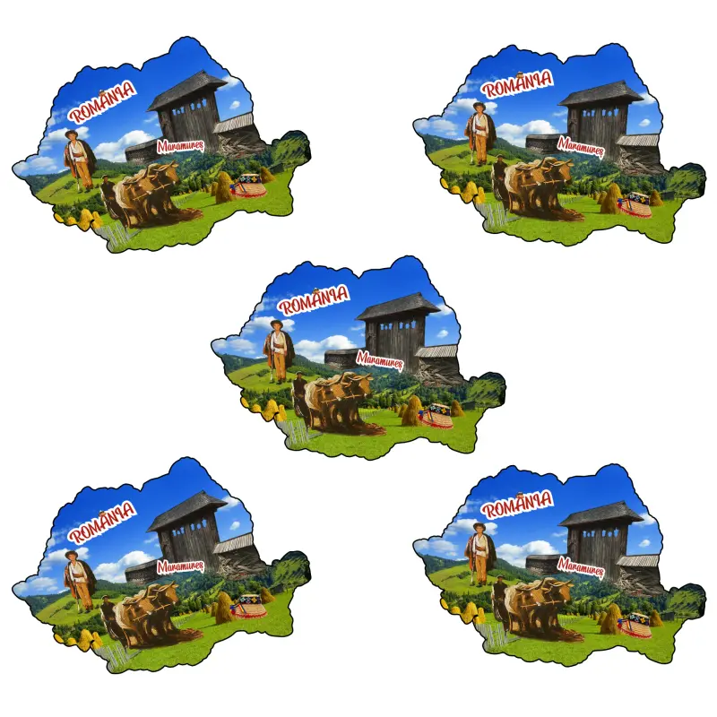 Mgs203-magnet frigider maramures ro.harta